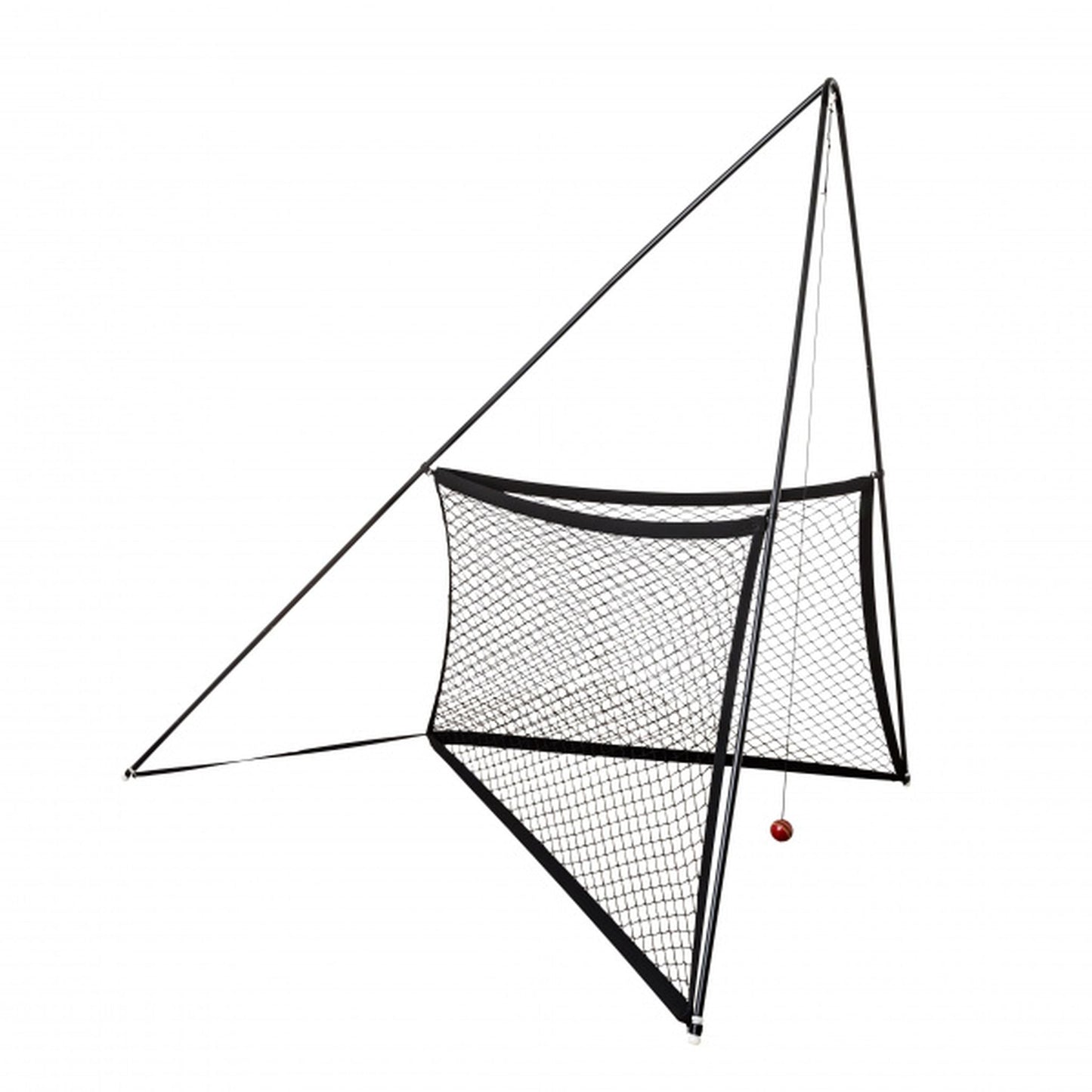 The V-PRO Elite Cricket Training Net