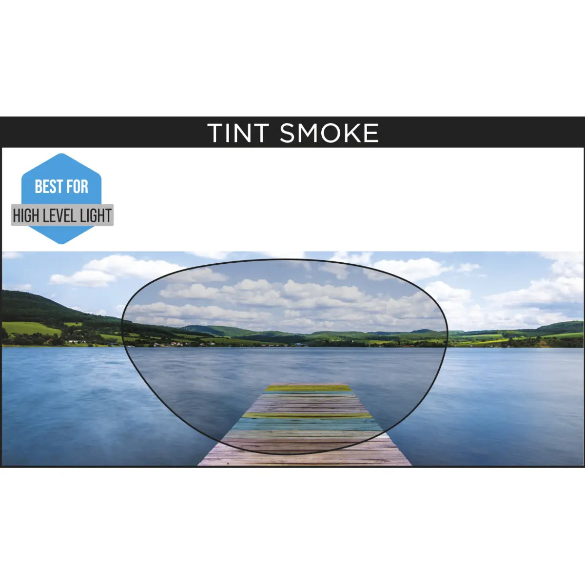 ZOGGS Predator - Green/Clear/Tint Smoke