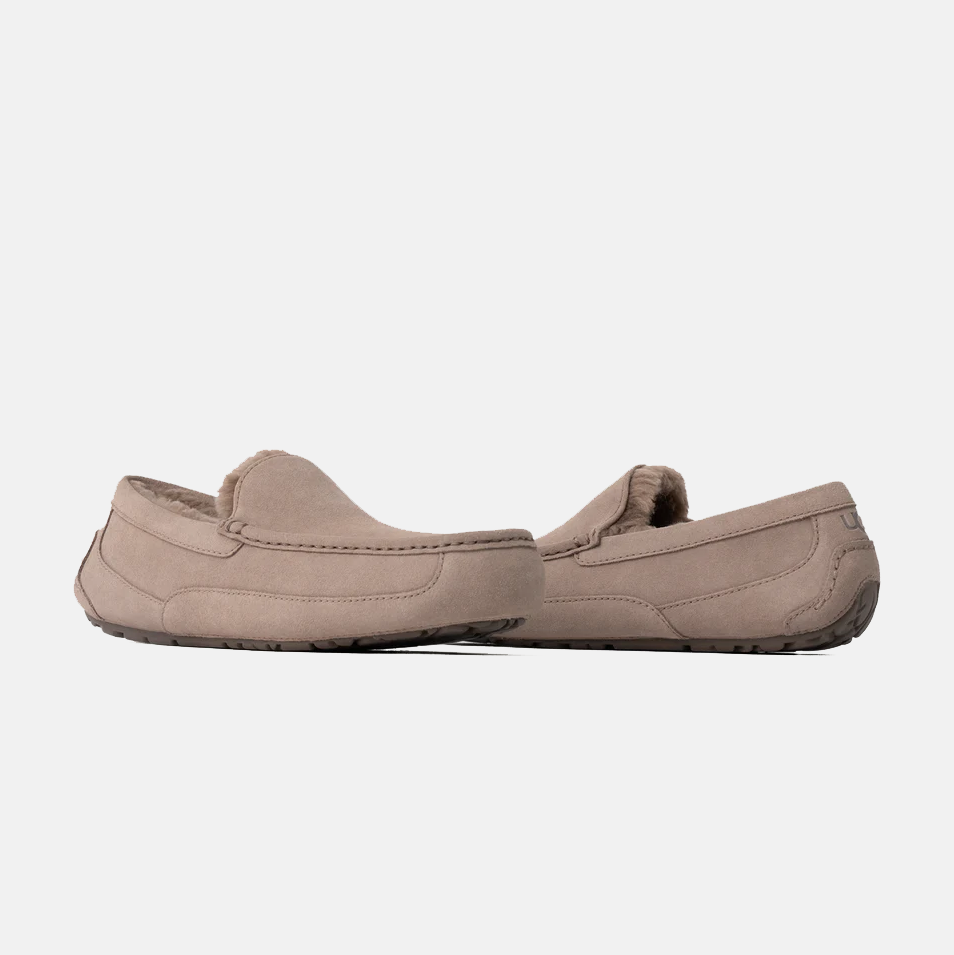 Ascot Suede