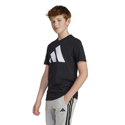 Adidas Boys Essentials Big Log Tee