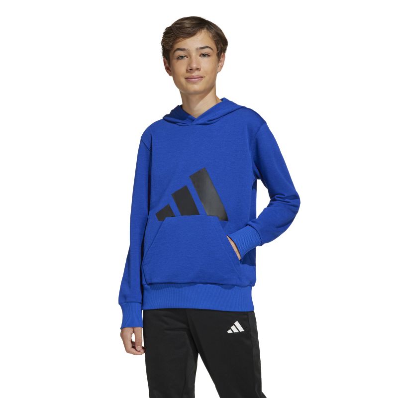 Adidas Boys Essentials Big Logo Hoodie