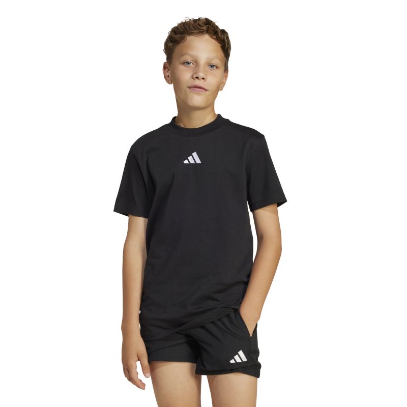 Adidas Boys Essentials Small Logo Tee