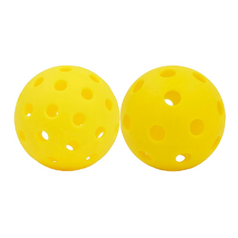 Wish Spin 66 Fibreglass 2 Player Pickleball Set
