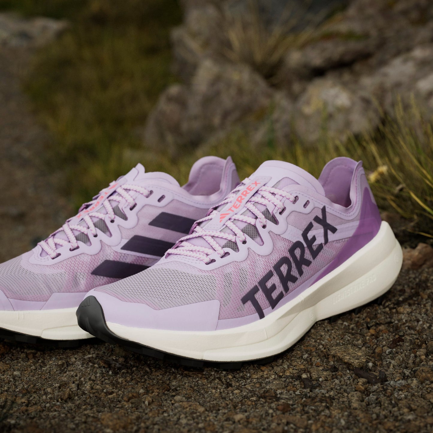 adidas Terrex Agravic Speed | Powder Plum / Aurora Plum / Lucid Red | Womens