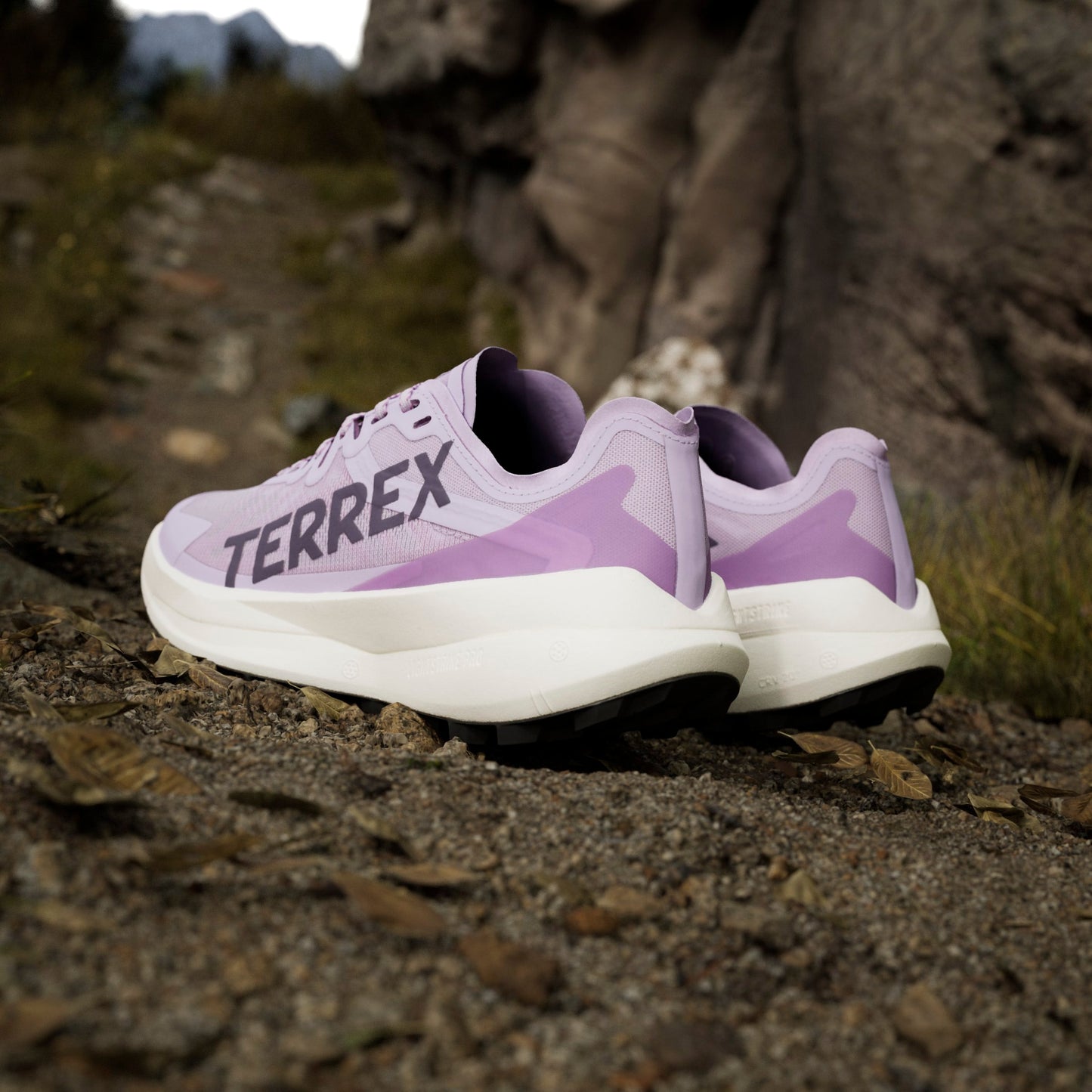 adidas Terrex Agravic Speed | Powder Plum / Aurora Plum / Lucid Red | Womens