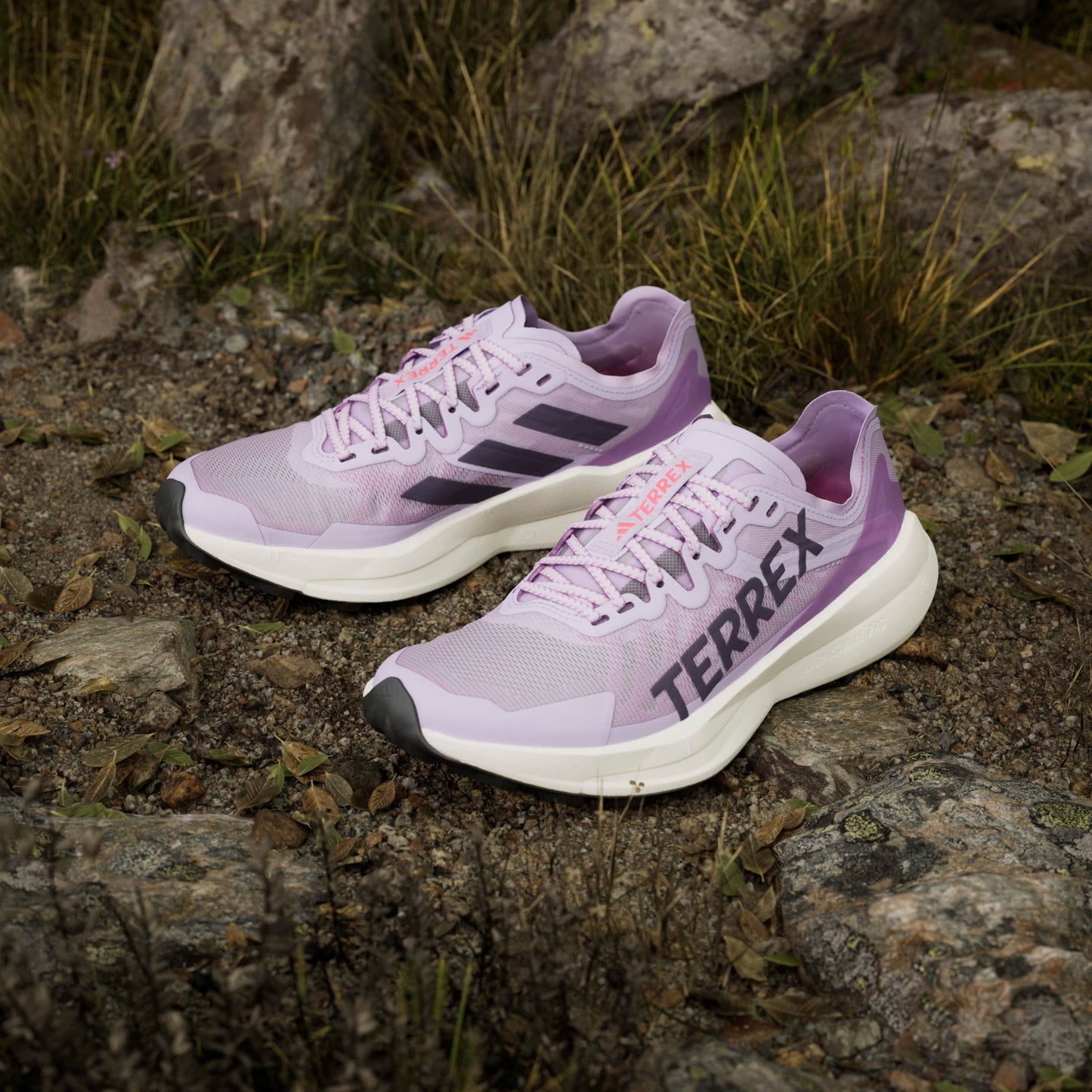 adidas Terrex Agravic Speed | Powder Plum / Aurora Plum / Lucid Red | Womens