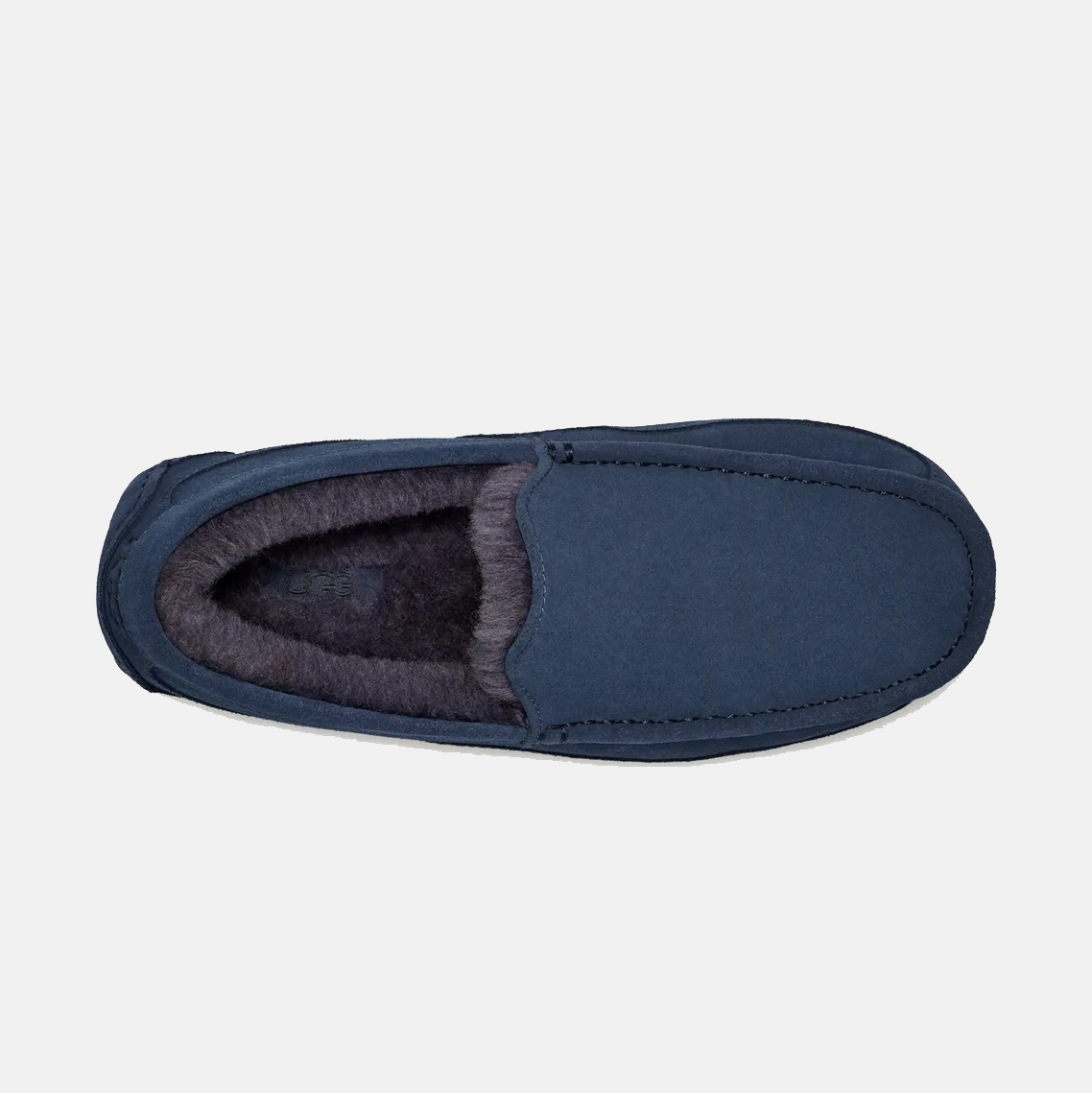 Ascot Suede